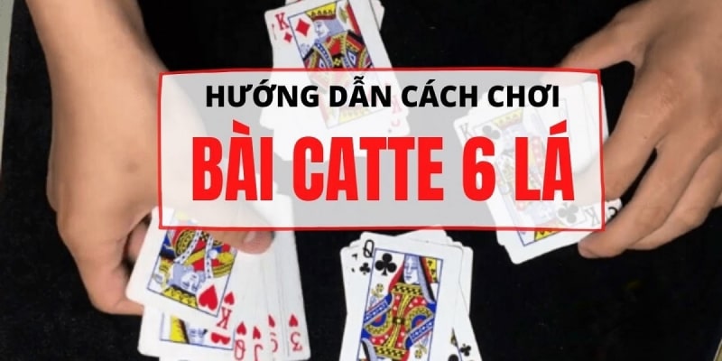 Chơi catte cần có tư duy nhạy bén