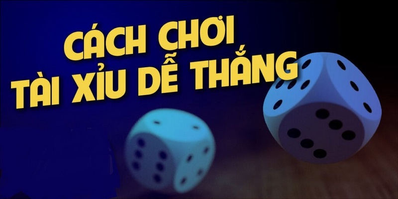 Tips chơi tài xỉu kingfun dễ trúng 